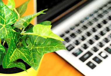 ノートパソコンと観葉植物